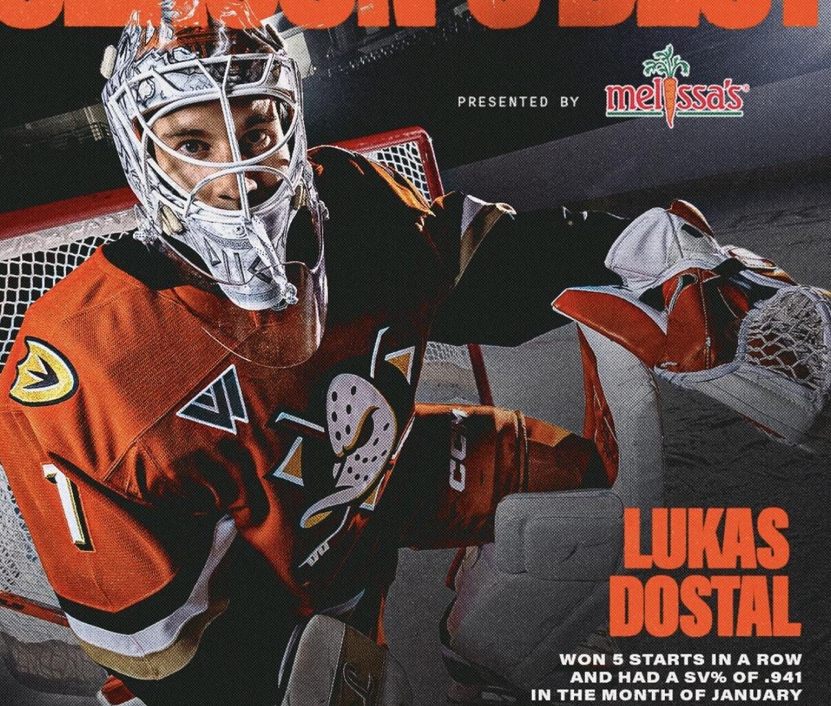 That’s DostWall for you 🧱