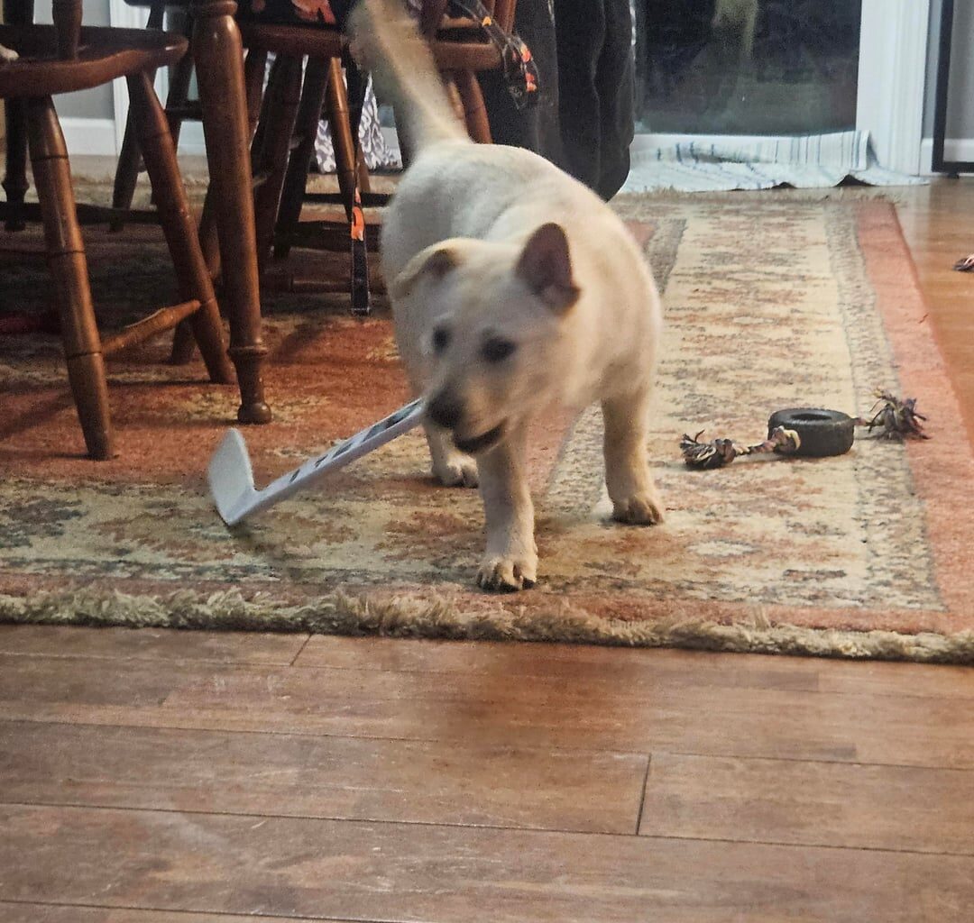 Last night didn't go our way. But the girls are ready for a fight!!!