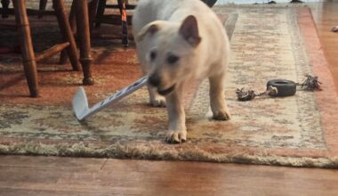 Last night didn't go our way. But the girls are ready for a fight!!!