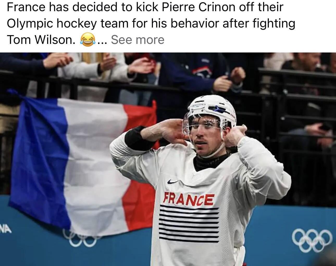 Wilson could throw a beer can at the president of the NHL, but I highly doubt Canada would kick him off their team 😆 sucks for France