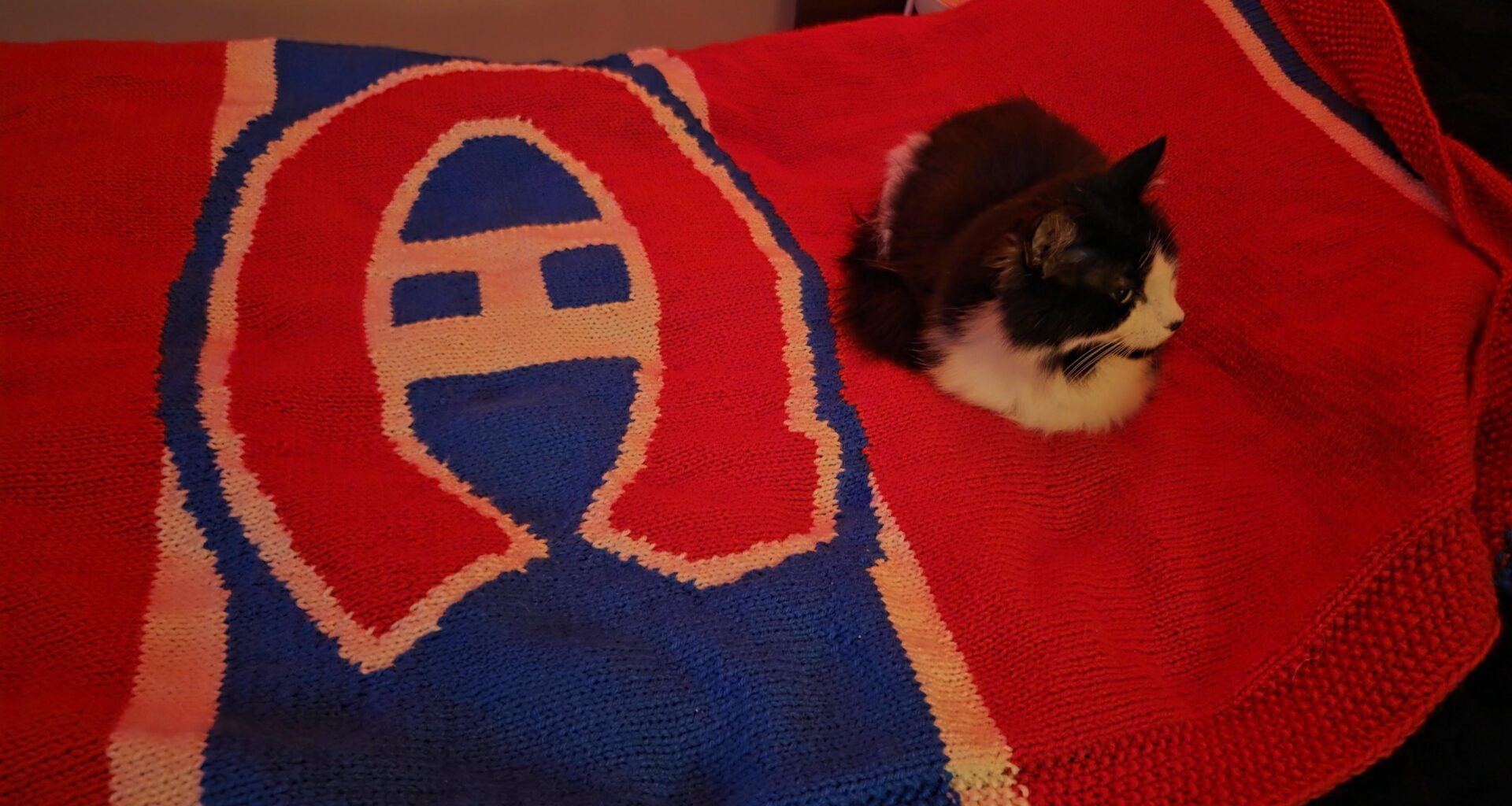 Wife knit me a Habs blanket and the cat approves.