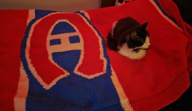 Wife knit me a Habs blanket and the cat approves.