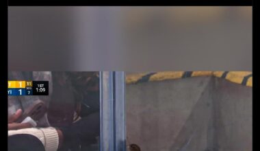 Sidney Crosby's guess on the bird at the Islanders game