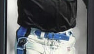 Panthers STHs & Collectors - I Need YOUR Help!