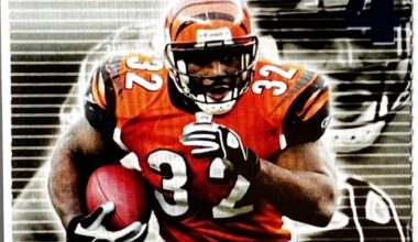 Bengals STHs & Collectors - I Need Your Help!