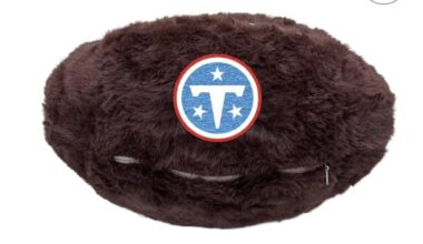 Did fanatics leak the new logo!?