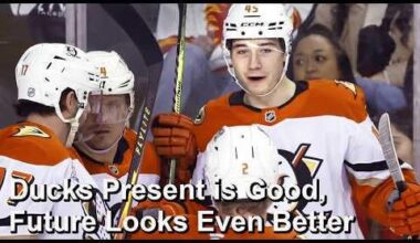 The Hockey Guy: Ducks season review so far