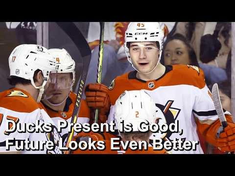 The Hockey Guy: Ducks season review so far