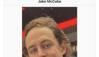 Why is McMann the face of McCabe’s wiki page