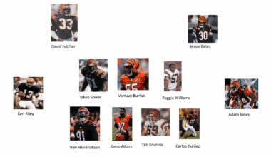 Bengals all time defense