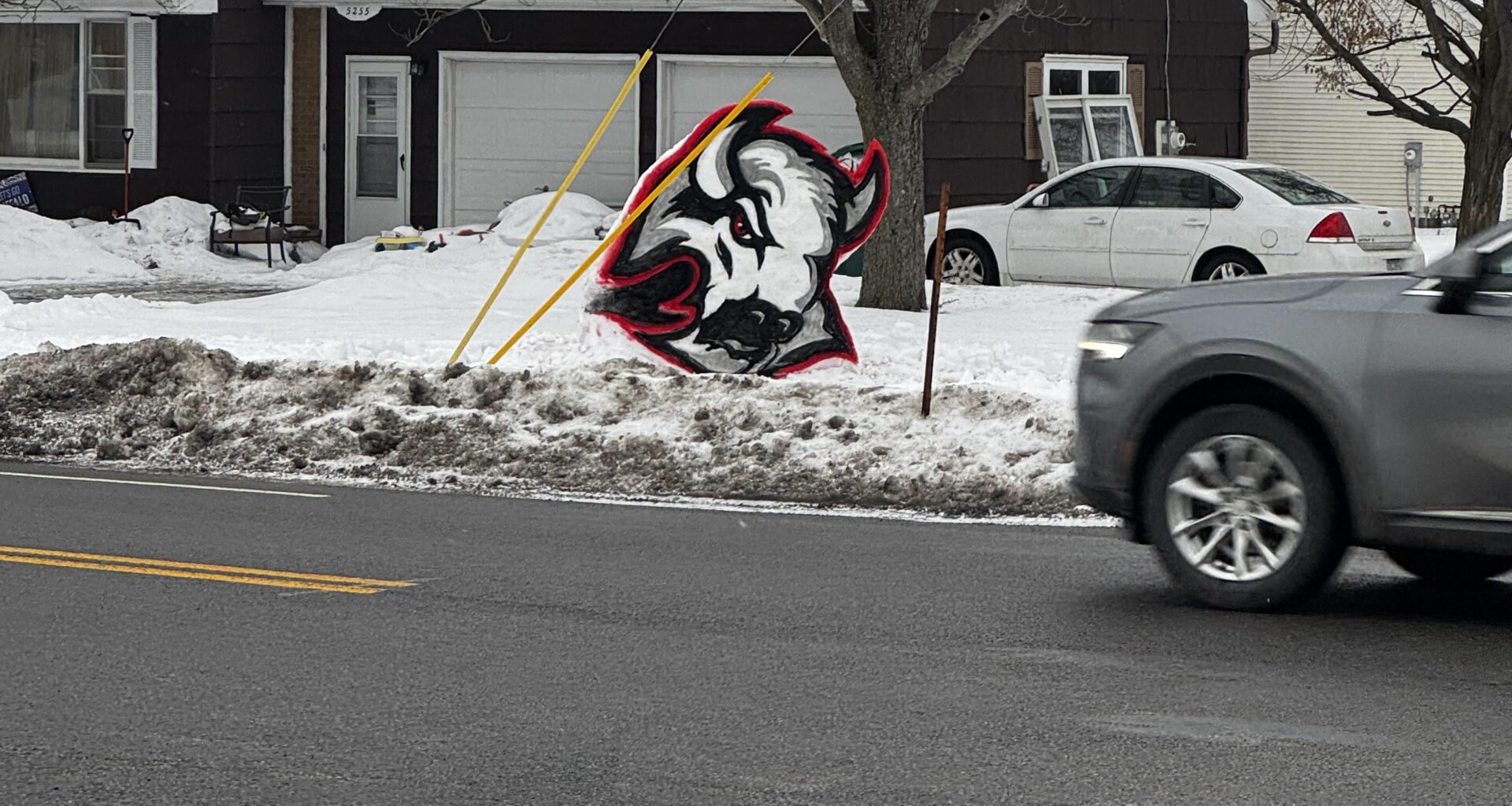 Saw this in Clarence today. So cool!!!