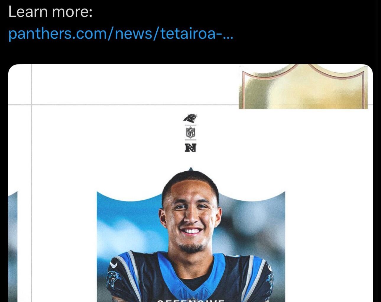 [Panthers] Worked 4 This