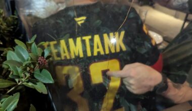 Which of you was this?