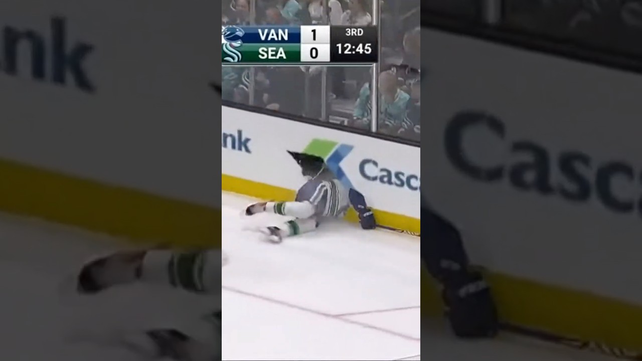 NHL Fall That Breaks the Glass 💀🚨