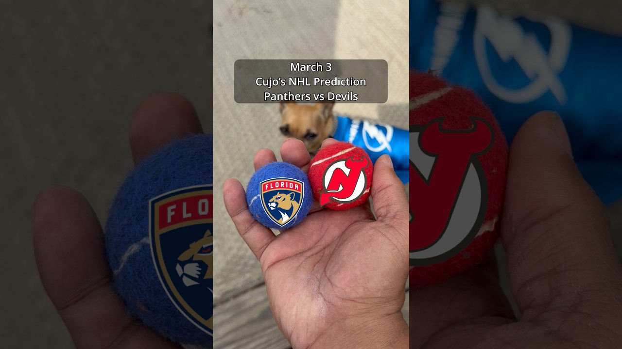 Cujo’s NHL Picks | Florida Panthers vs New Jersey Devils 🏒 03-03-2026 #CujoCatches