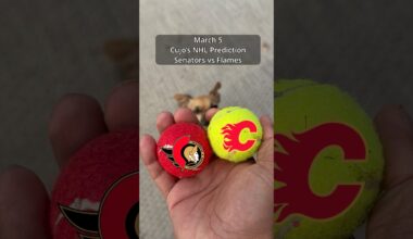 Cujo’s NHL Picks | Ottawa Senators vs Calgary Flames 🏒 03-05-2026 #CujoCatches