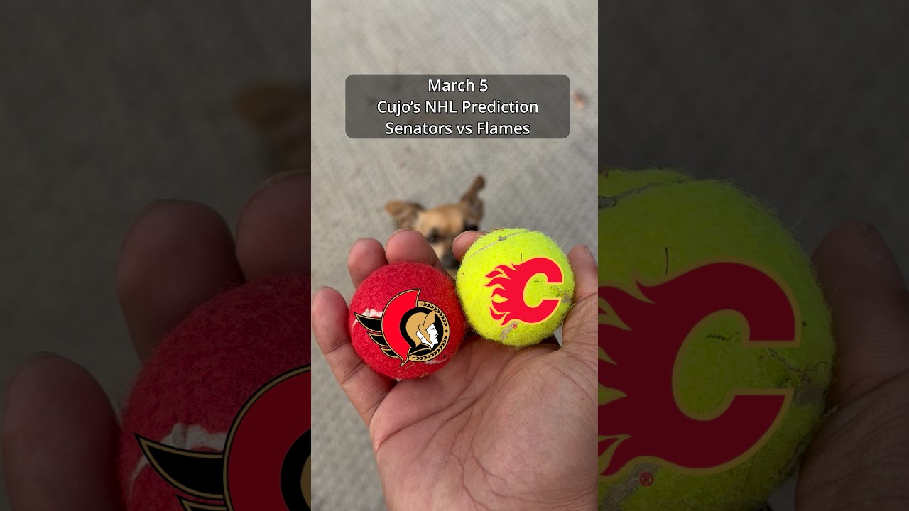 Cujo’s NHL Picks | Ottawa Senators vs Calgary Flames 🏒 03-05-2026 #CujoCatches