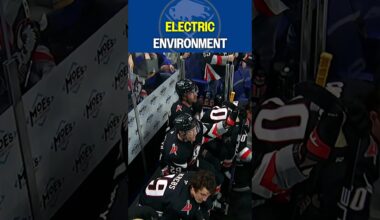 Vibes in Buffalo are UNMATCHED rn