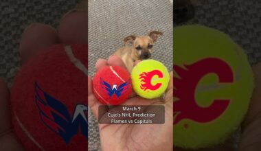 Cujo’s NHL Picks | Calgary Flames vs Washington Capitals 🏒 03-09-2026 #CujoCatches