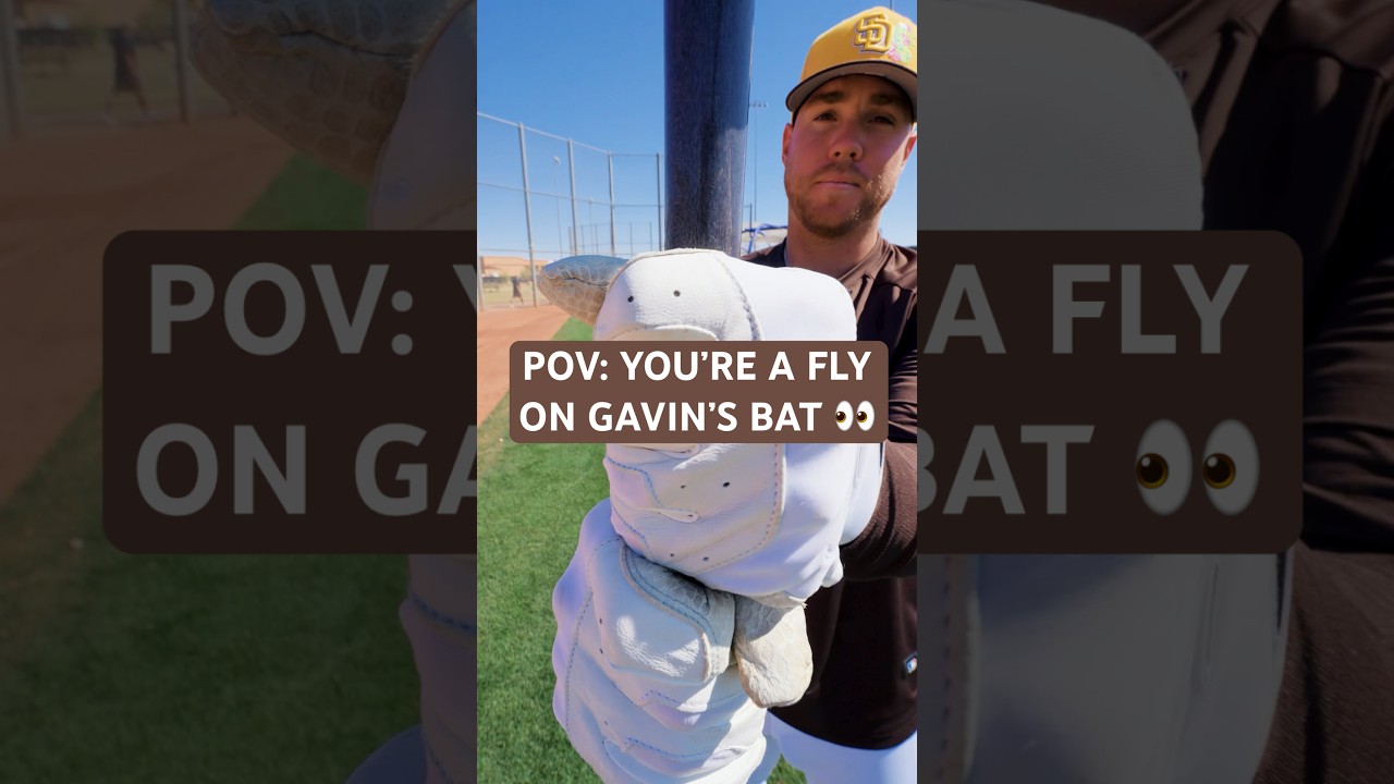 hey, batter, batter, swing #mlb #baseball #sandiegopadres #springtraining #padres #battingpractice