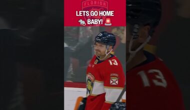 Cardiac Cats are BACK? 🚨🚨🚨