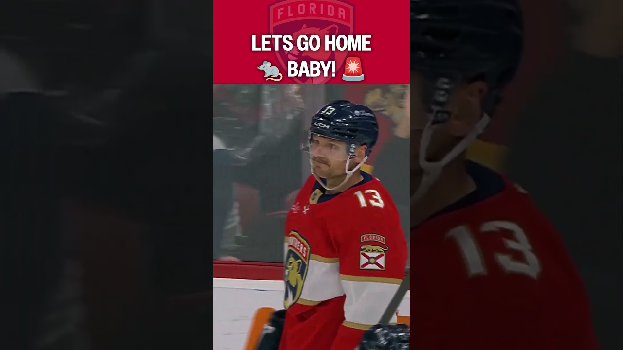 Cardiac Cats are BACK? 🚨🚨🚨