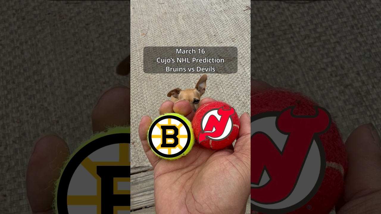 Cujo’s NHL Picks | Boston Bruins vs New Jersey Devils 🏒 03-16-2026 #CujoCatches