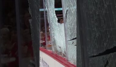 The Goalie Just LEVELED Him 😳🏒