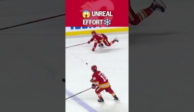 Dive ➡️ Dangle 🤯