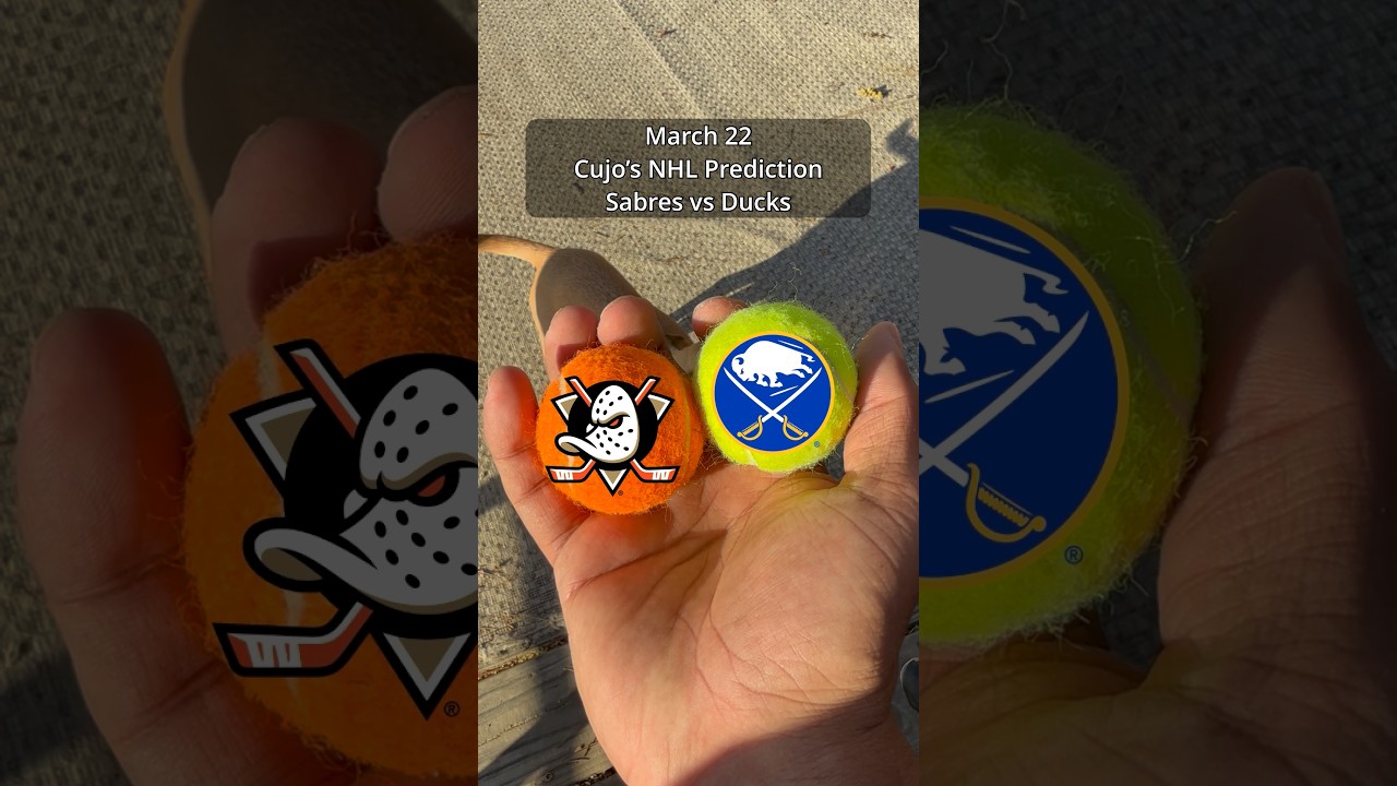 Cujo’s NHL Picks | Buffalo Sabres vs Anaheim Ducks 🏒 03-22-2026 #CujoCatches