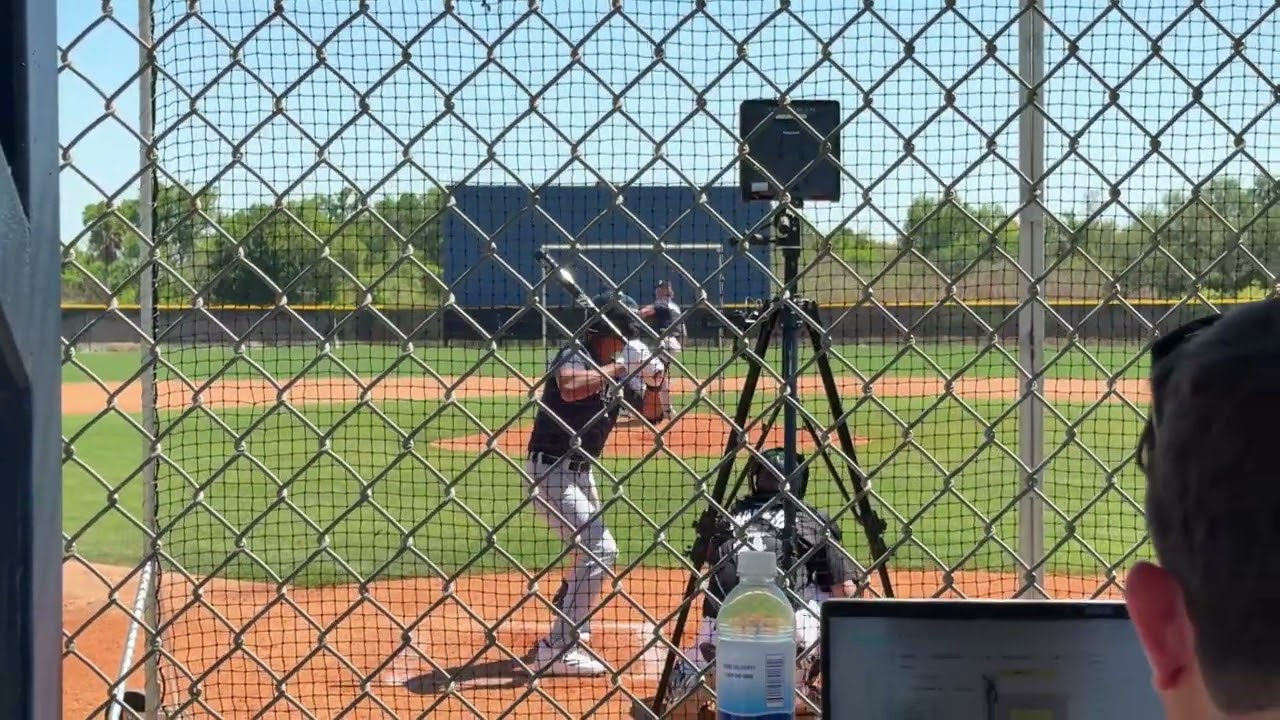 Detroit Tigers Prospects 2026: Cale Wetwiska Live BP