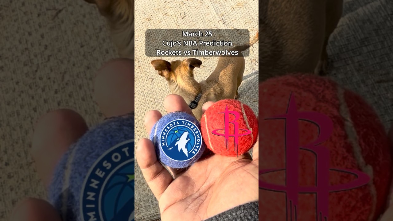 Cujo’s NBA Picks | Houston Rockets vs Minnesota Timberwolves 🏀 #CujoCatches