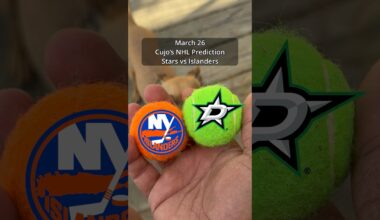 Cujo’s NHL Picks | Dallas Stars vs New York Islanders 🏒 03-26-2026 #CujoCatches