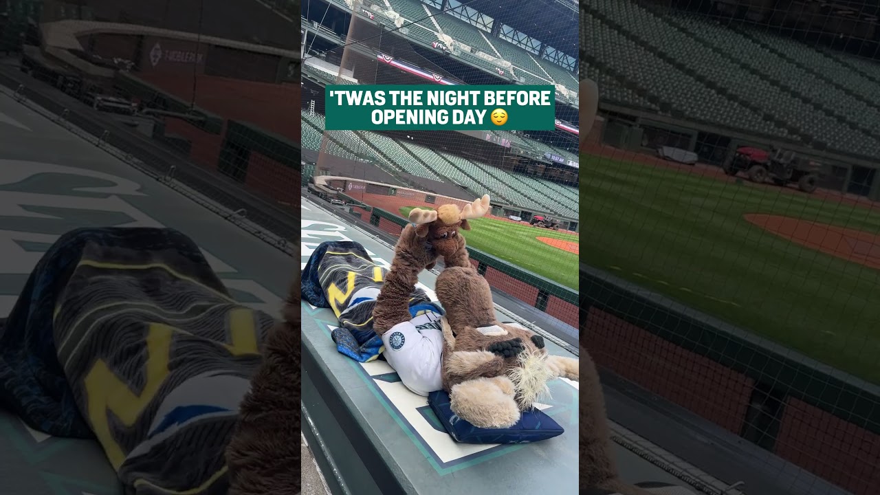 Not a creature was stirring, not even a moose 🫎