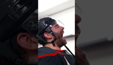 In honor of Mista Svechnikov's birthday 🎉