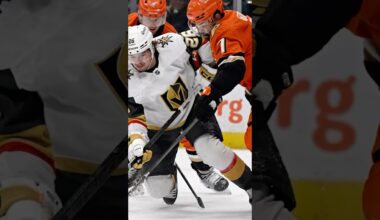 The Flames NEED The Ducks to Win the Pacific Division!