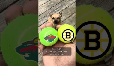 Cujo’s NHL Picks | Minnesota Wild vs Boston Bruins 🏒 03-28-2026 #CujoCatches