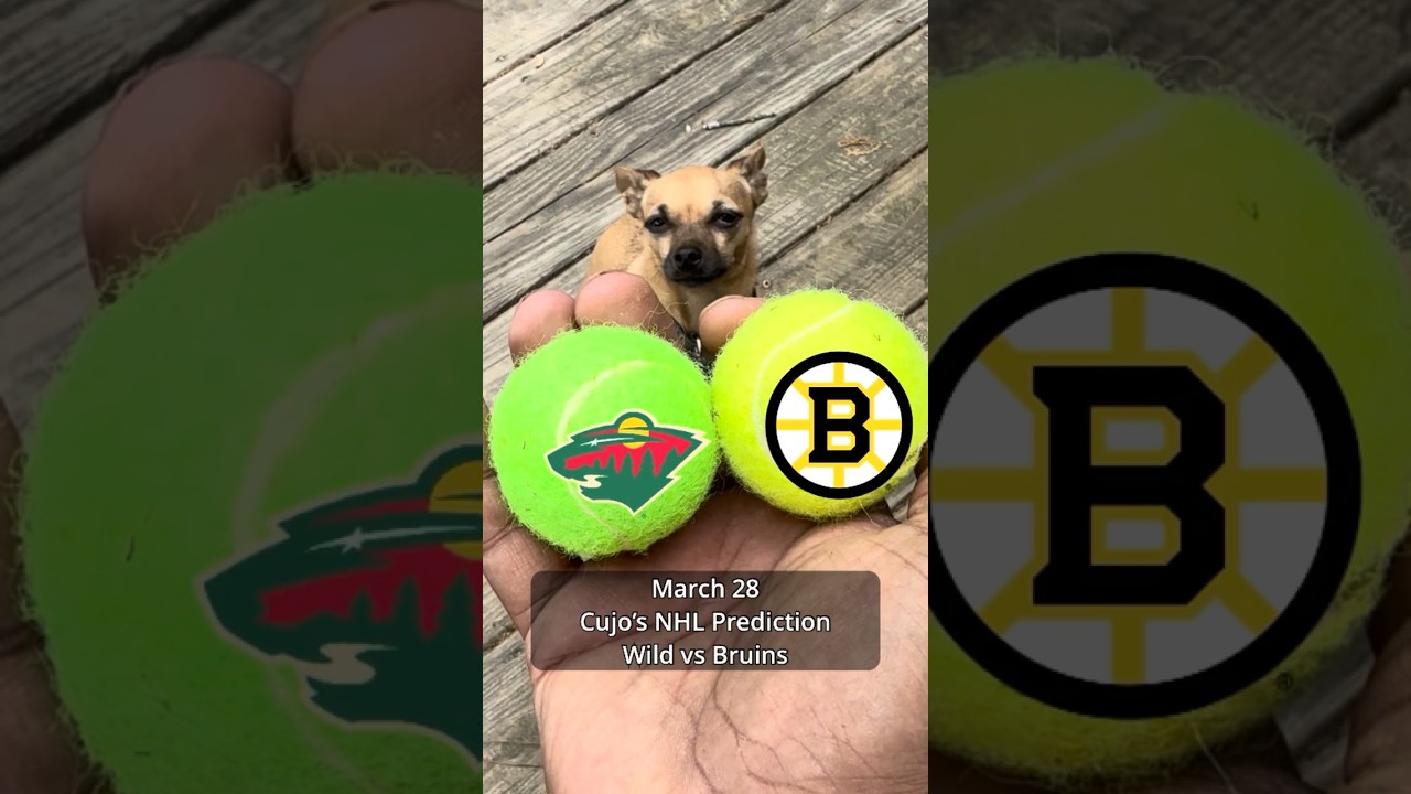 Cujo’s NHL Picks | Minnesota Wild vs Boston Bruins 🏒 03-28-2026 #CujoCatches