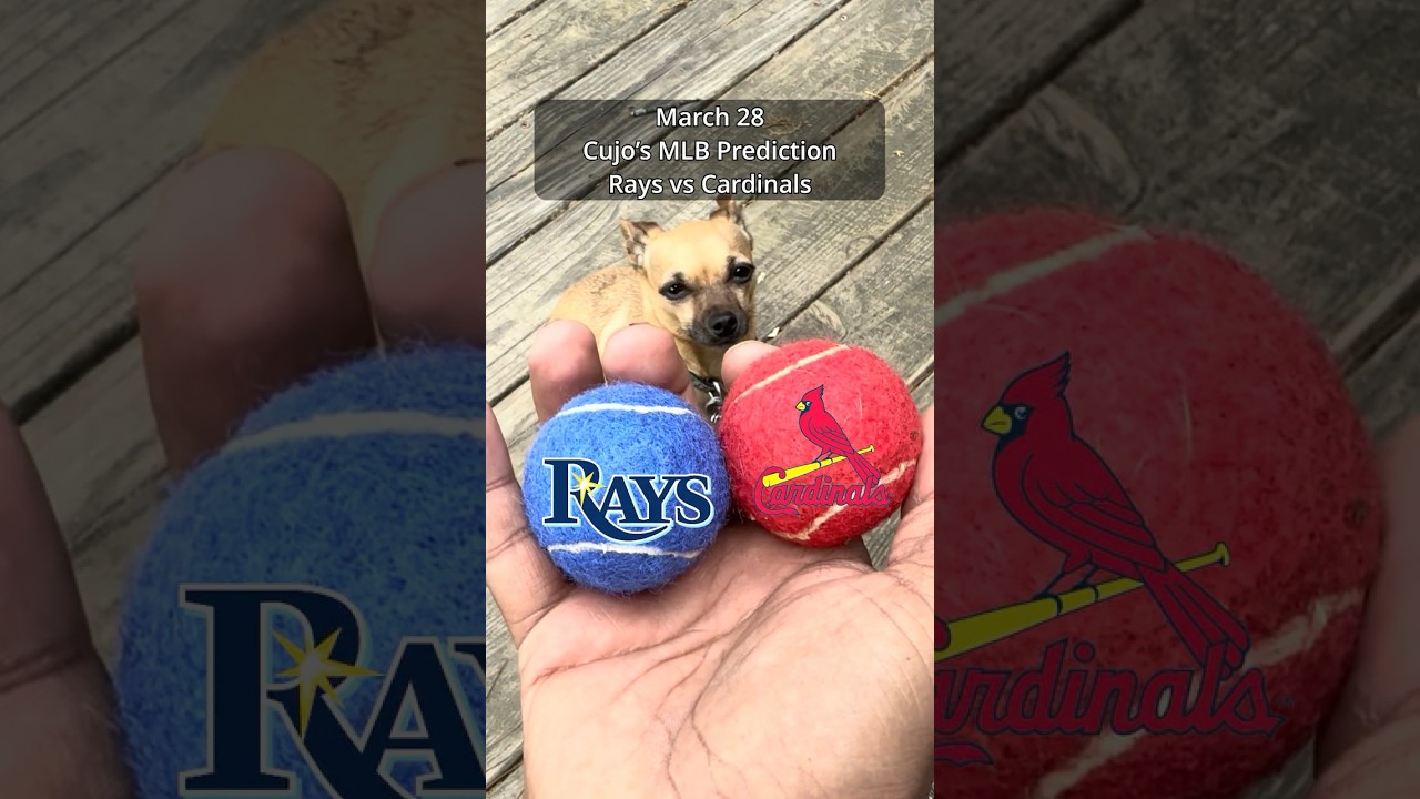 Cujo’s MLB Picks | Tampa Bay Rays vs St. Louis Cardinals ⚾ 03-28-2026 #CujoCatches