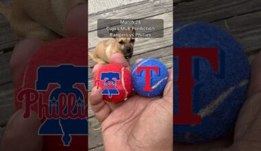Cujo’s MLB Picks | Texas Rangers vs Philadelphia Phillies ⚾ 03-28-2026 #CujoCatches