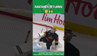 MOOSE IS LOOSE! 🫎