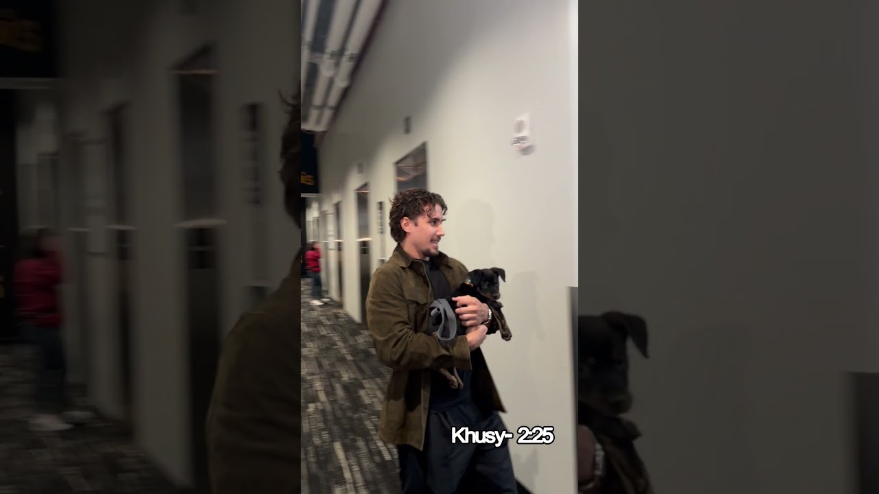 PUPPIES AT ARRIVALS! WE REPEAT, PUPPIES AT ARRIVALS!!