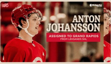UPDATE: The Red Wings have reassigned defenseman Anton Johansson to the AHL’s Grand Rapids Griffins (from Leksands, SHL).
