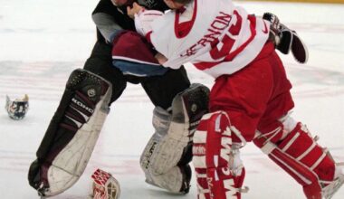 It has been 29 years since the goalie fight between Patrick Roy and Mike Vernon.