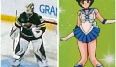 Big fan of the anime/disney knees pads