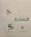 Random, but a Seattle Scorpions concept! [Credits to u/PaleSurprise2770]