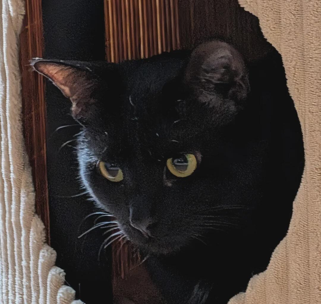 Flames (30-34-7) vs ducks (40-27-4) - march 26th - GDT