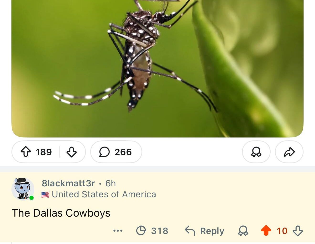 Just speaking the truth