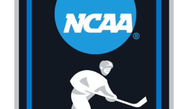 Adam Gajan with 29 saves in a 3-1 win to eliminate Gavin McKenna and Penn St. Up next for him is 1 seed Michigan on Sunday.