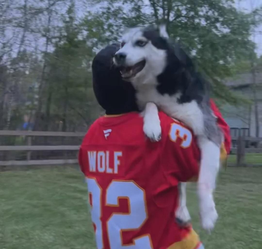 Flames (27-34-7) vs Panthers (34-31-3) - march 20th - GDT